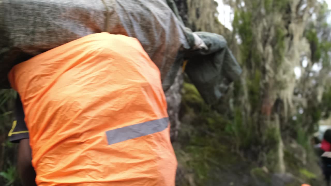 excursionistas con un guía, un grupo de portadores con equipo pesado durante el ascenso del kilimanjaro