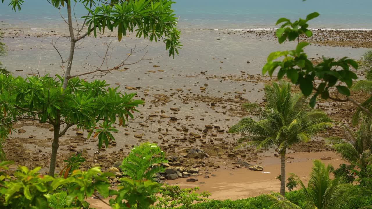Un'inquadratura fissa di palme verdi incornicia una riva con la bassa marea, rocce sparse sulla sabbia scoperta, l'orizzonte che si estende tranquillo vicino a Mauban Port, nella provincia di Quezon, Filippine.