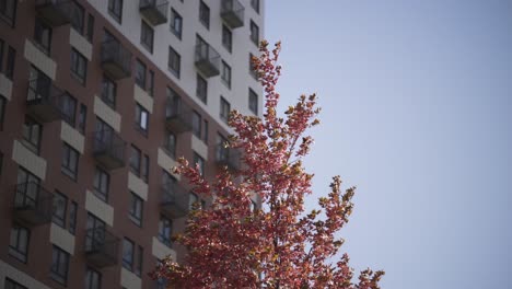 autumnal apartment building