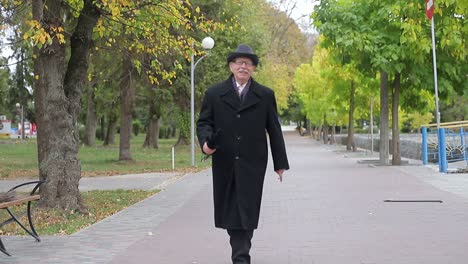 elderly man walking and gesturing in a park