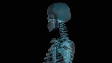 Human-Skeleton-Rotating