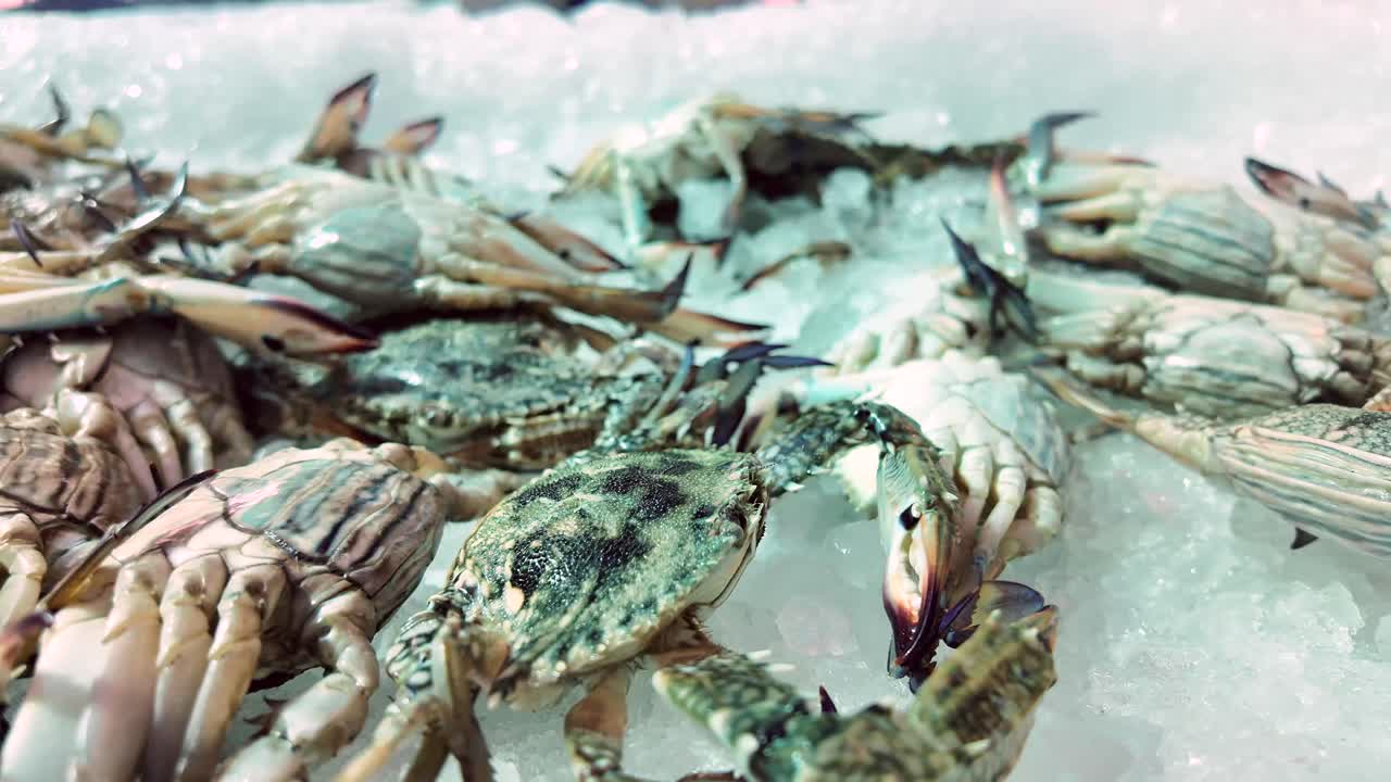 Fresh crabs on ice