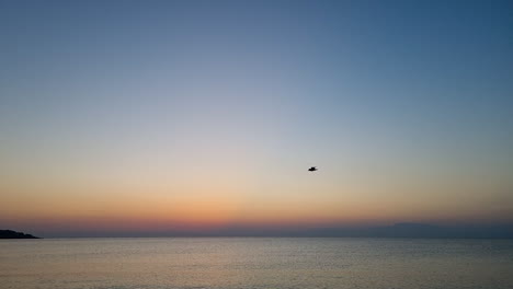 Slow-motion-of-seagull-soaring-in-the-sky-above-the-sea-at-sunrise