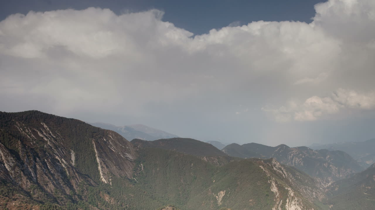 페드라 포카 0 01