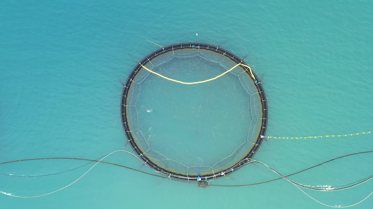 imágenes aéreas de granjas de pesca de salmón en noruega