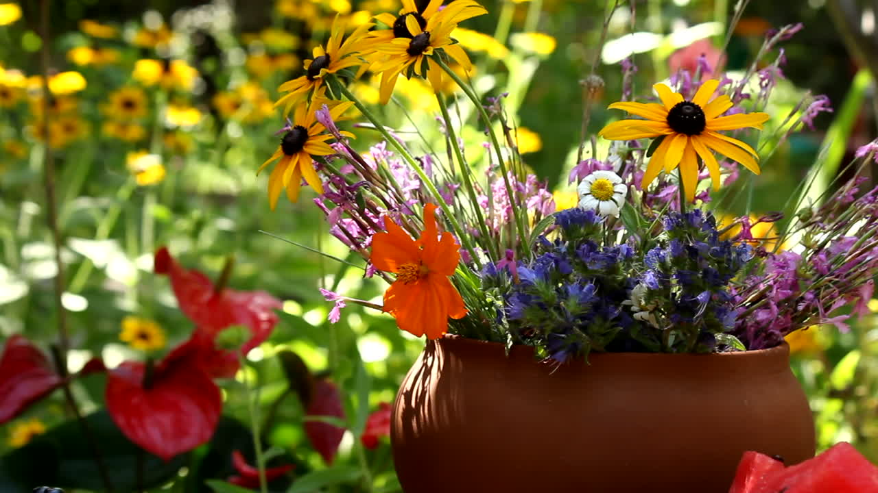 Bukett med høstblomster i en solrik hagepotte