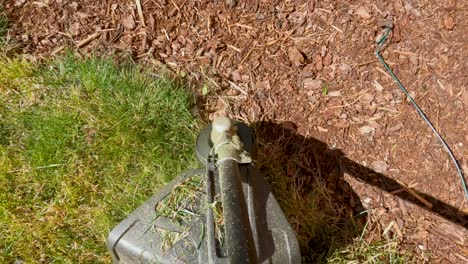 weed whacker ordenar hierba cubierta en el