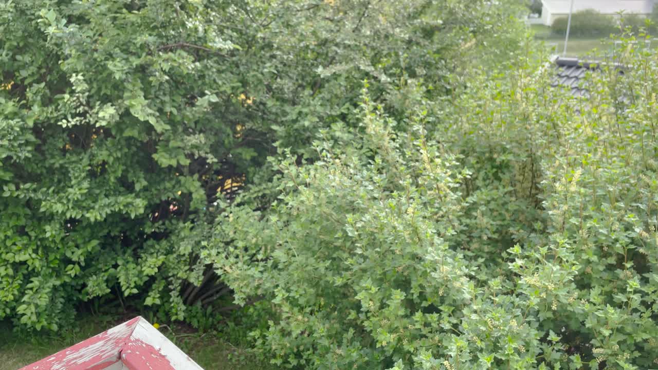 keto-friendly BBQ fish steaks Pieces of salmon, squash and mashroom are fried over an open fire. Fire and smoke roll over pieces of fish