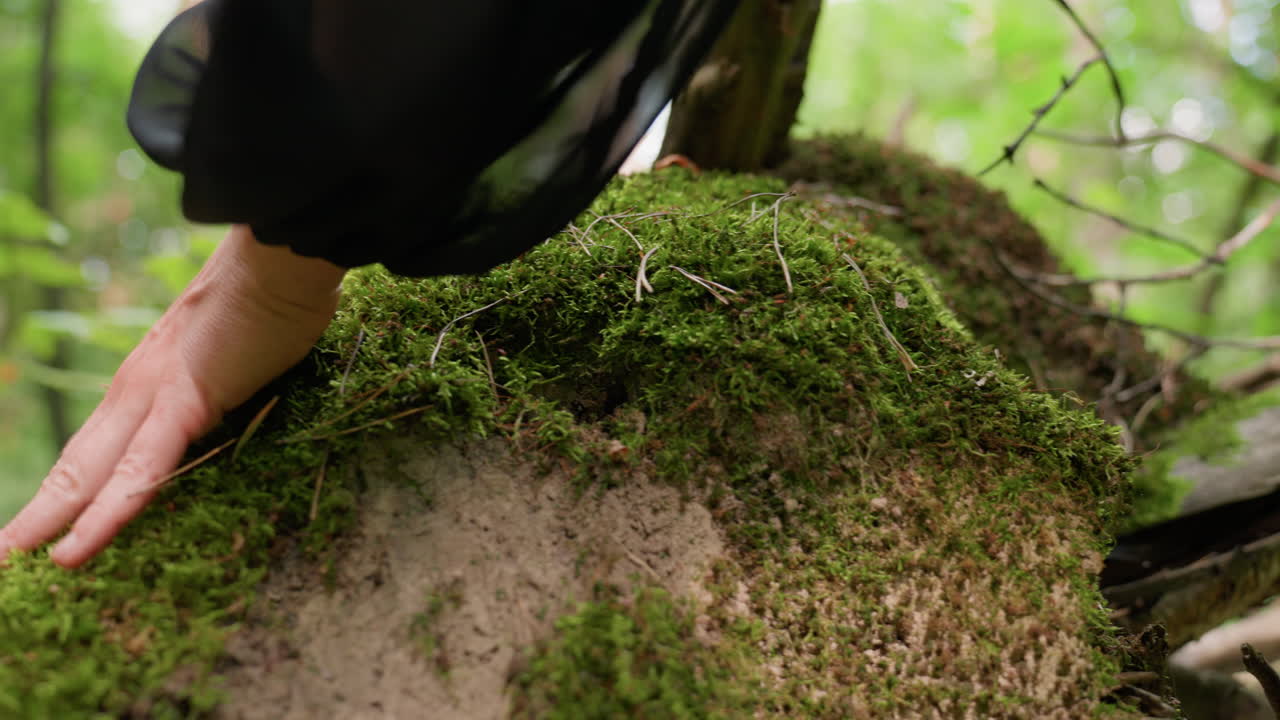 Vista posteriore di una donna con un abito nero fluente che tocca un ceppo ricoperto di muschio nella foresta, gesto delicato della mano che mostra eleganza sensuale, connessione con la natura e quieta intimità