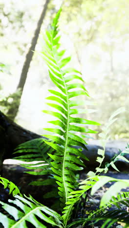 lush greenery and vibrant ferns thrive in the tranquil forest sunlight