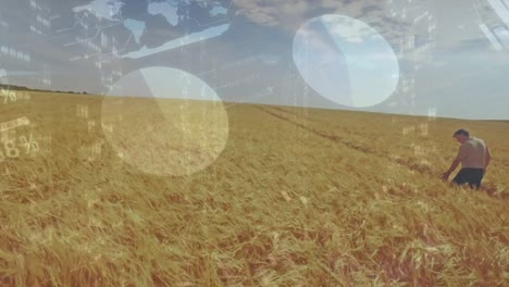 animation of statistical data processing over man walking in farm fields
