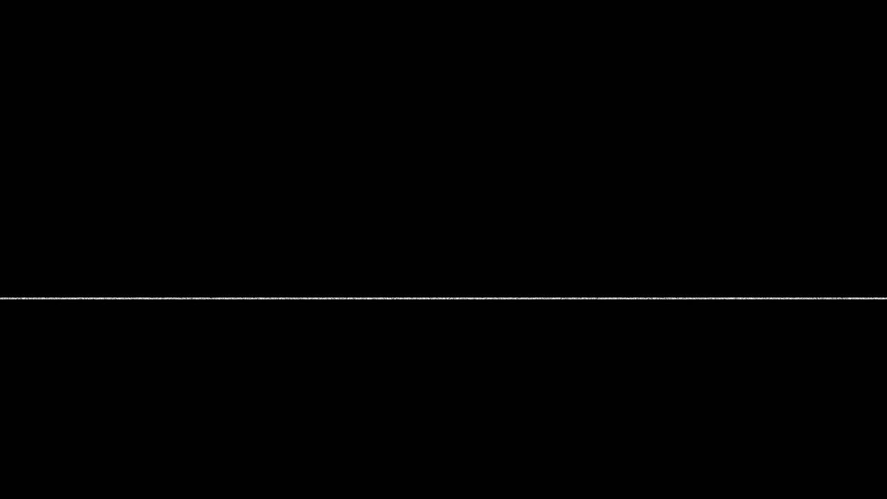 Flackerndes Schwarz-Weiß-Glitch- und statisches Rausch-Overlay