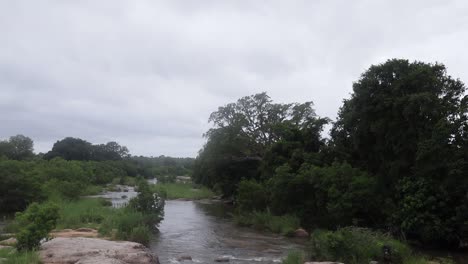 Tranquila-Escena-Del-Río-B-roll-Africano-Del-Parque-Nacional-Kruger,-áfrica