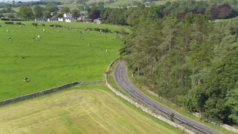drone footage following a car along a winding, undulating country road in the beautiful yorkshire, uk countryside over dirty stone walls and a cattle field, viewing farmland an trees