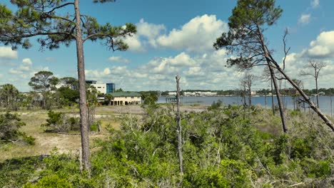 aerial view of bay in orange beach, alabama