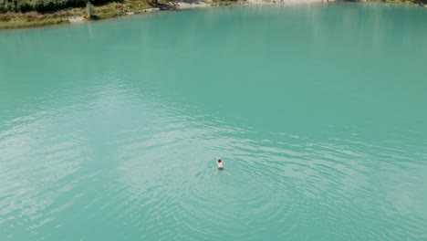 one guy swimming alone in the middle of a green lake on a summer day at lake tenno, italy