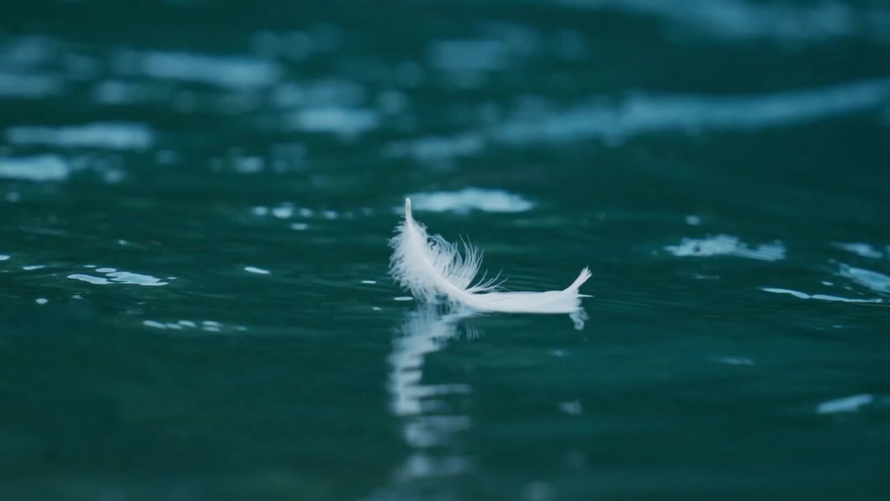 Close-up Cinematográfico de Pena Branca Flutuando na Superfície Calma da Água Azul, Vista de Mindfulness e Paz