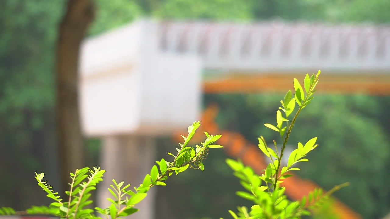 초점이 전경에 있는 녹색 잎 관목과 초점이 맞지 않는 백그라운드에서 도로 건설 크레인