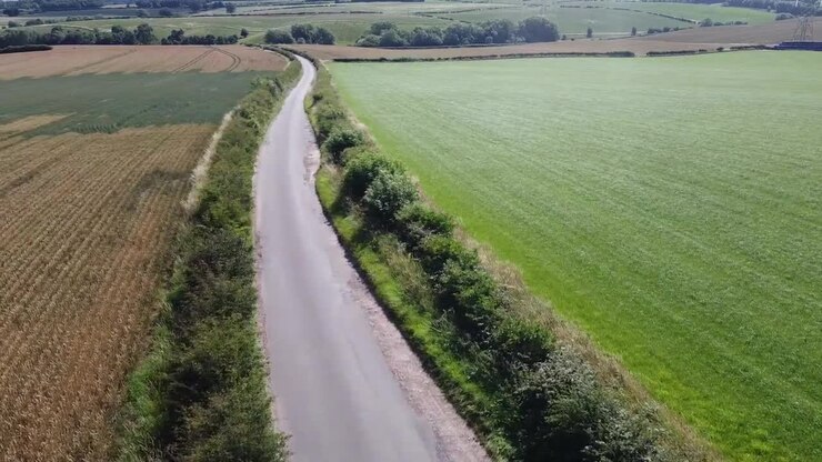 Aerial shot of lush green winter wheat fields near Salisbury on southern England coast with narrow rural road and white vehicle moving alongside crop boundary under clear summer sky