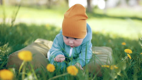 tiny cute kid in blue overall and orange cap sits in the grass. little toddler enjoys green grass and yellow dandelions.