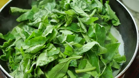 cooking fresh spinach leaves in a cooking pan ,