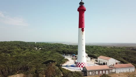 lighthouse in a forest. aerial