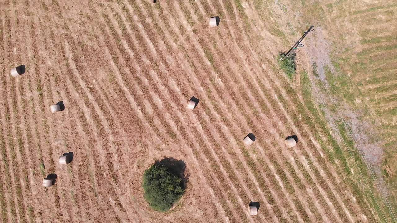 Aerial drone footage, hay bales on the meadow in Hungary