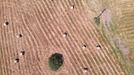 aerial drone footage, hay bales on the meadow in hungary