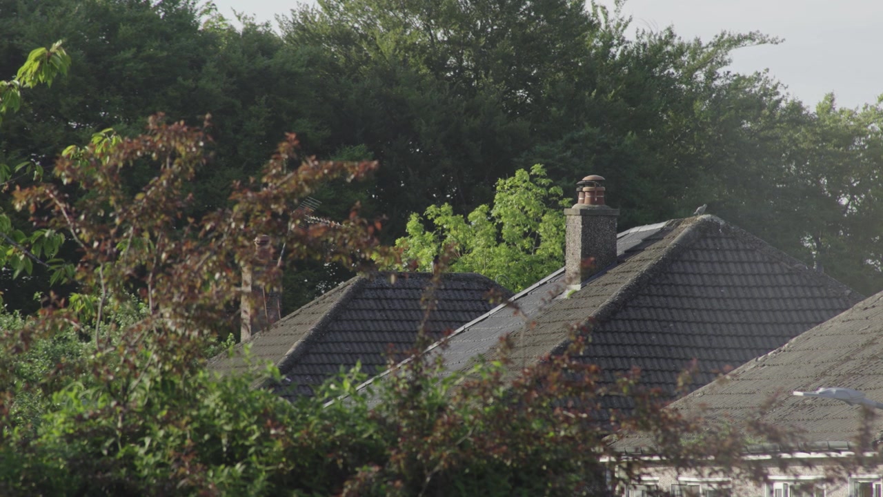 Houses with Chimney Stacks Amongst Green Trees, Suburban Rooftops