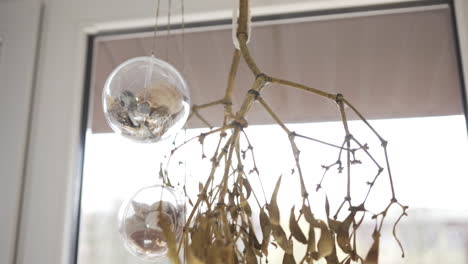 indoor decoration made by dry mistletoe hanging from the ceiling with mussels in transparent round ball in front of the window