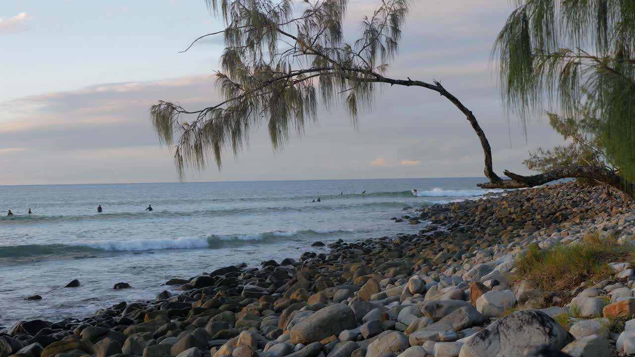 Surfers In Wavy Ocean At Dusk In Little Cove Beach, Noosa Heads, Queensland