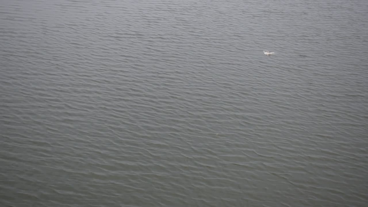 낮에 호수에서 졸졸 흐르는 물