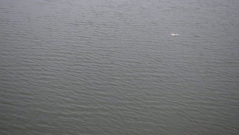 Rippling-Water-In-Lake-At-Daytime