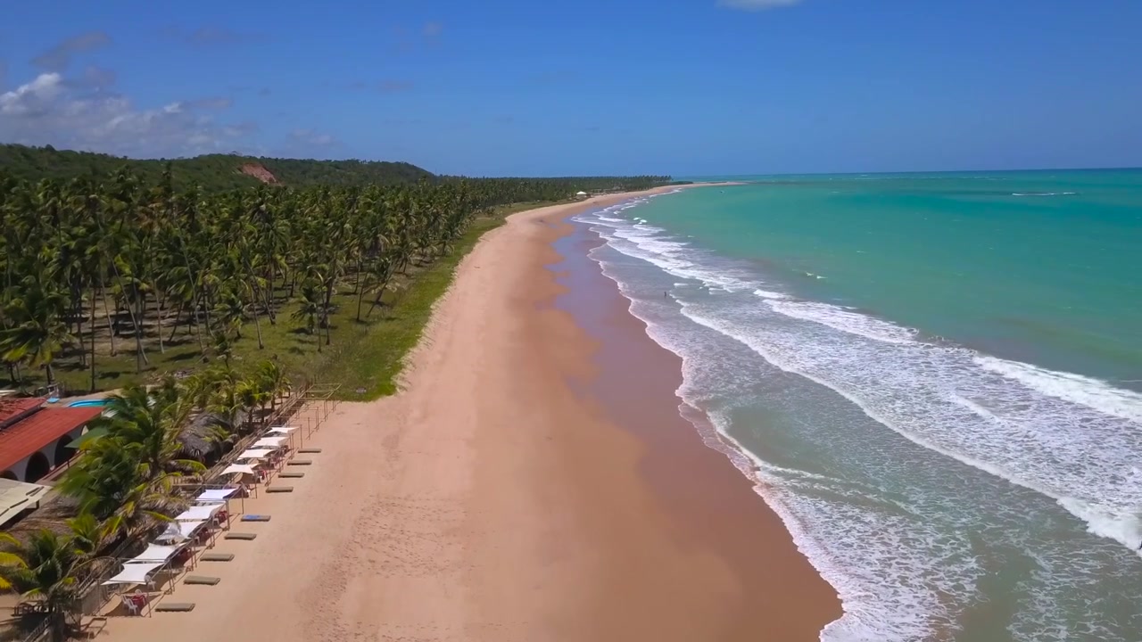 Voo aéreo rasante sobre areia branca e palmeiras ao longo da costa de oceano turquesa perto de Maceió, durante um dia ensolarado e brilhante. Filmado em 4K a 25 fps