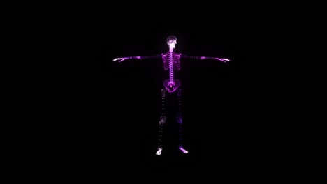 rgb esqueleto holograma wireframe. buena animación 3d en un fondo negro con un bucle sin costuras para proyectos de futurismo