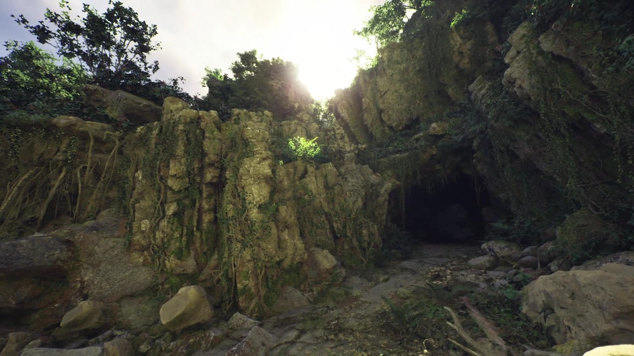Secluded limestone cavern shaded by vibrant ferns and soft shadows
