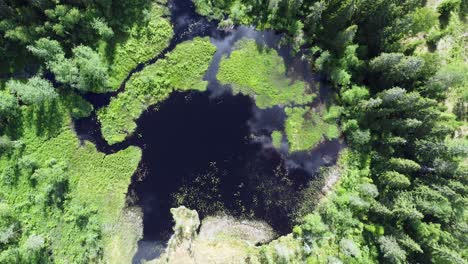 clouds reflect in dark blue wetland bog pond in northern boreal forest