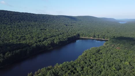 birds eye view over a rural forest and river water