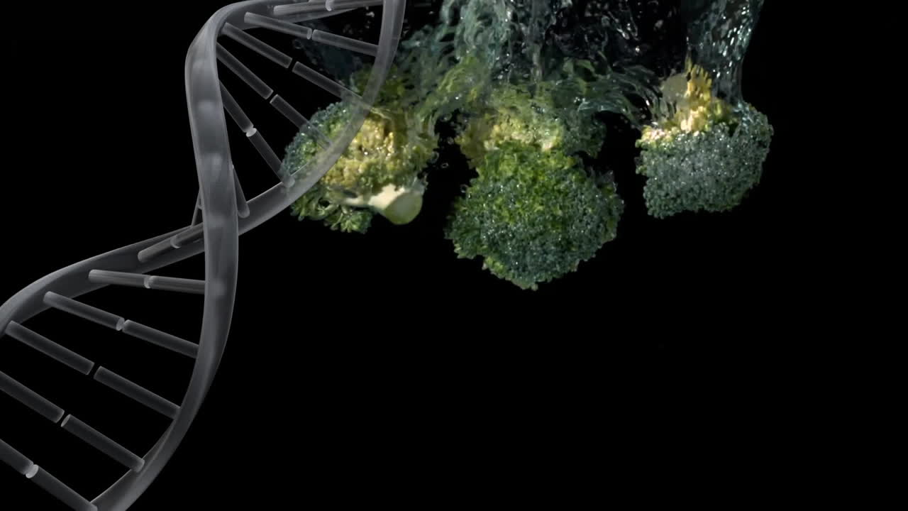 Animazione di un filamento di DNA su broccoli immersi nell'acqua