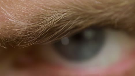 macro shot of angry look of caucasian male with blue eyes