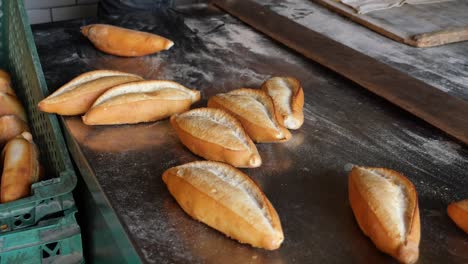 freshly baked bread in a bakery