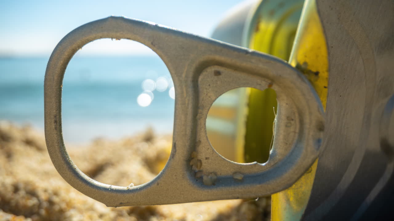 A sunny beach with trash
