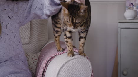 woman petting cat