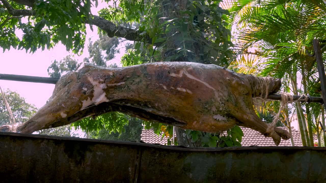 뜨거운 숯불에 양고기를 통째로 볶는다.