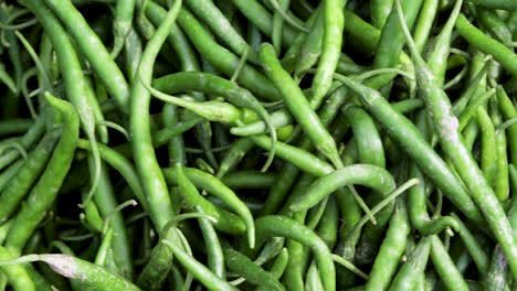 fresh organic green chilli from farm close up from different angle