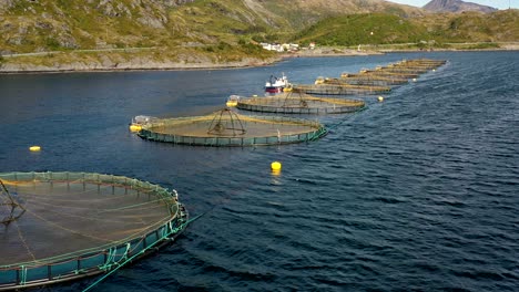 aerial footage farm salmon fishing in norway