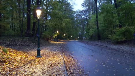 Luces-De-Calle-Antiguas-En-El-Atardecer-Lluvioso-Brillando-En-El-Parque-De-Otoño