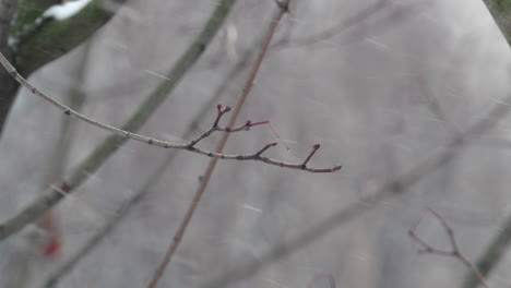 Wind-Mit-Schnee-Aus-Nächster-Nähe