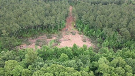 drone shot of trees being cut down by lumberjacks, clearing an area for a new neighborhood