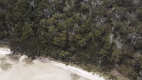 Imágenes-De-Drones-Sobre-Una-Isla-Verde-Con-Agua-Clara-Del-Océano